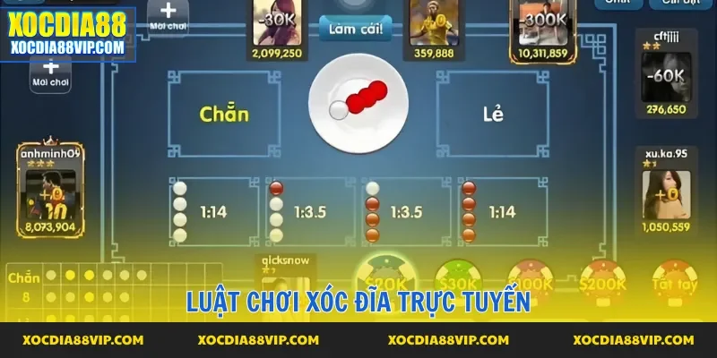 Các nguyên tắc cơ bản trên bàn cược mà hội viên phải tuân thủ