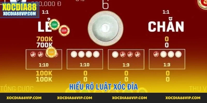 Hiểu luật nhanh, kiếm lời hậu hĩnh