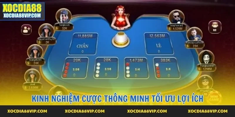 Kinh nghiệm cược thông minh tối ưu lợi ích