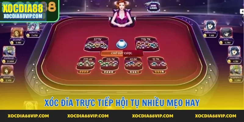 Mẹo hay hội tụ tại chuyên mục