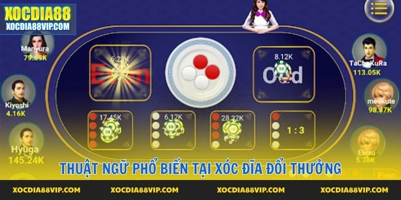 Nắm thuật ngữ, chơi dễ dàng