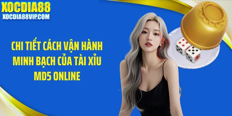 Chi tiết cách vận hành minh bạch của tài xỉu MD5 online
